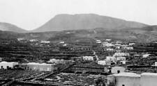 Europe, Italy, Sicily, Trapani, The Island Of Pantelleria, Landscape, 1920 PHOTO picture