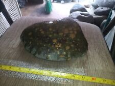 Neat 6.82lb Colorful Rock R6#18 picture