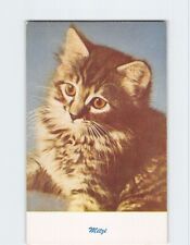 Postcard Mitzi Very Cute Kitten picture