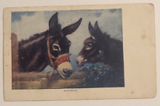 G Milano Artist Signed Art Postcard 1908 Meekness Two Burros Donkey 594 picture