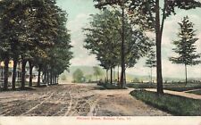 Postcard VT Bellows Falls Atkinson Street View Dirt Road 1908 Tracks Trees picture