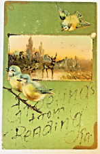 Postcard Pennsylvania Reading Greetings Glitter Embossed Blue Birds Deer 1906 picture