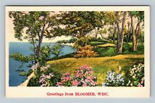 Bloomer WI, Scenic Greetings, Water, Wisconsin c1939 Vintage Postcard picture