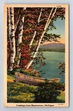Roscommon MI-Michigan, Scenic Greetings, Antique Souvenir Vintage Postcard picture