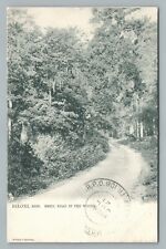 “Shell Road in the Woods” BILOXI Mississippi—Rare Antique UDB Postcard 1906 picture