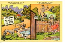 Frisky Cats Comic-21 Baths-Hot Springs National Park-Arkansas-Vintage Postcard picture