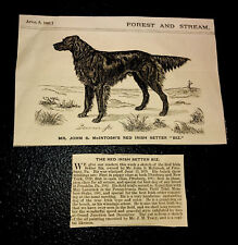 ORIGINAL 1882 Red Irish Setter Dog Engraving Advertising & Article - Pittsburgh picture