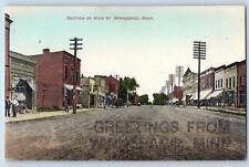 Winnebago Minnesota MN Postcard Section Of Main Streets Business Section c1910's picture