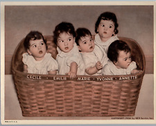 1936 NEA Service Promo Photo Dionne Quintuplets in Basket great Made in USA 8X10 picture