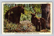 Cadillac MI-Michigan, General Greetings, Mother Beach and Cubs, Vintage Postcard picture