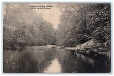 c1940's Looking Up Big Brook North Lovell Maine ME, Chatham NH Vintage Postcard picture