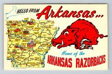AR-Arkansas Greetings From Arkansas Landmarks On Map Warthog Vintage Postcard picture