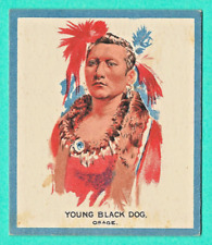 1933 V416 - TEEPEE GUM - CANADA - #16 YOUNG BLACK DOG - EXCELLENT  - NO CREASES picture