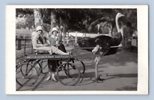 RPPC 1940'S. OSTRICH RIDE. SOUTH PASADENA, CA. 2 GALS. POSTCARD MM27 picture