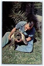 c1960s Alligator Gardens Alligator Snapping Turtle San Antonio Texas TX Postcard picture