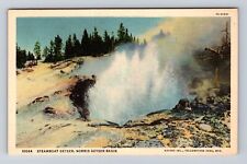 Yellowstone National Park, Steamboat Geyser Series #10084 Vintage c1938 Postcard picture