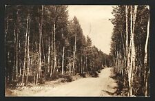 RPPC The Northwoods Forest Wisconsin Mailed From Hayward 1935 picture