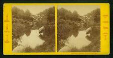 a895, W. M. Chase Stereoview, #704, Pool with Beautiful Reflections, NY, 1870s picture