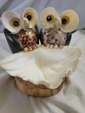 Owl A Cheerful Seashell picture