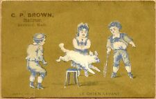 Trade Card MA Beverly Stationer CP Brown Dog Children Victorian Advertising picture