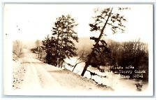 c1910s Mulberry Ozark Mountain Forest Huntsville Arkansas AR RPPC Photo Postcard picture