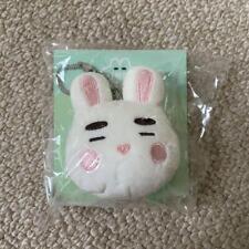 Shinee Onew Rabbit Plush Key Ring picture