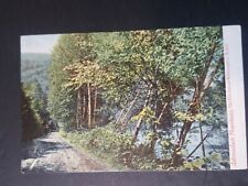Vintage early 1900s unused postcard Birches at Wilmington Notch Adirondak NY  picture