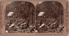 1800s Stereoview To the Gold Mines-Burro Supply Train, Colorado Gold Rush picture