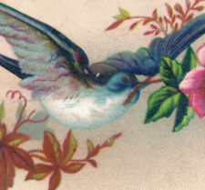 1870s-80s Victorian Religious Card Bible Quote Beautiful Blue Bird F109 picture