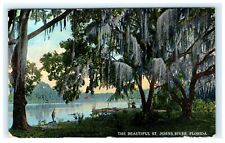 1915 The Beautiful St. Johns River FL Florida Early Postcard View picture
