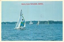 Postcard Regatta Time, Sailboats, Walker, Minnesota picture