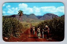 Maui HI-Hawaii, Sugar Fields, Antique, Vintage Souvenir Postcard picture