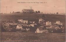 Postcard Hotel Wawanda As Seen From the Village Liberty NY 1909 picture