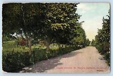 Dayton Ohio Postcard Chapel Avenue St. Mary's Institute Scenic View 1911 Antique picture