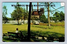 Marshfield WI-Wisconsin, Beautiful Wildwood Park, Antique, Vintage Postcard picture