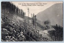 Seattle Washington Postcard Loop Great Northern Railroad Oriental Scenic c1911 picture