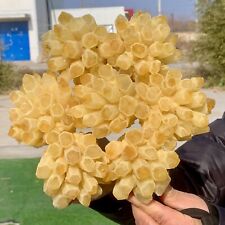6.43LB New find sky yellow phantom quartz crystal cluster mineral sample picture