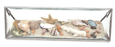 Vintage Sea Scene Beveled Glass Sea Glass Shells Starfish Sand Dollar picture