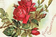 c.1908 Rose Floral Embossed 'hearty congratulations' vintage postcard picture