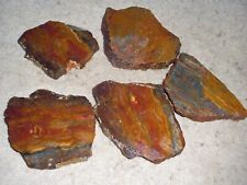 5 small Multi Colored Jasper rock slabs - reds, yelllow, orange several patterns picture