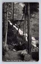 Shasta Springs CA-California, Glacier Trail, Antique, Vintage Postcard picture