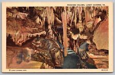 Princess Column Luray Caverns Virginia Cave Interior Stairway Vintage Postcard picture