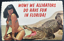 Vtg. Circa 1970s Bikini Woman & Alligator Risque Florida Postcard picture