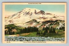 WA-Washington, Rainer National Park Field Blue Lupine Vintage Postcard picture