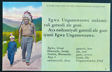Mint USA Picture Postcard Native Americana Indian Cherokee Chief And Grandson picture