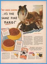 1944 Collie English Springer Spaniel Scottish Terrier Scottie Pard Dog Food AD picture