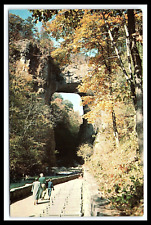 Natural Bridge VA Postcard Natural Wonder of the World Unposted  pc270 picture