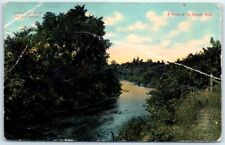 Postcard - A Bend in the Betsey River - Michigan picture