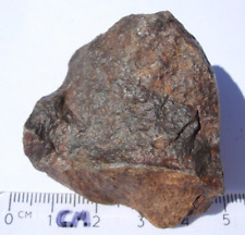 60.5 grams NWA xxxx unclassified as found individual stoney Meteorite with a COA picture