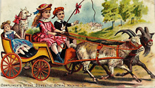 Victorian Trade Card Domestic Sewing Machine Co. Children Dog Goat Carriage VTG picture
